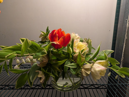 Special Buttery, Red Tulips