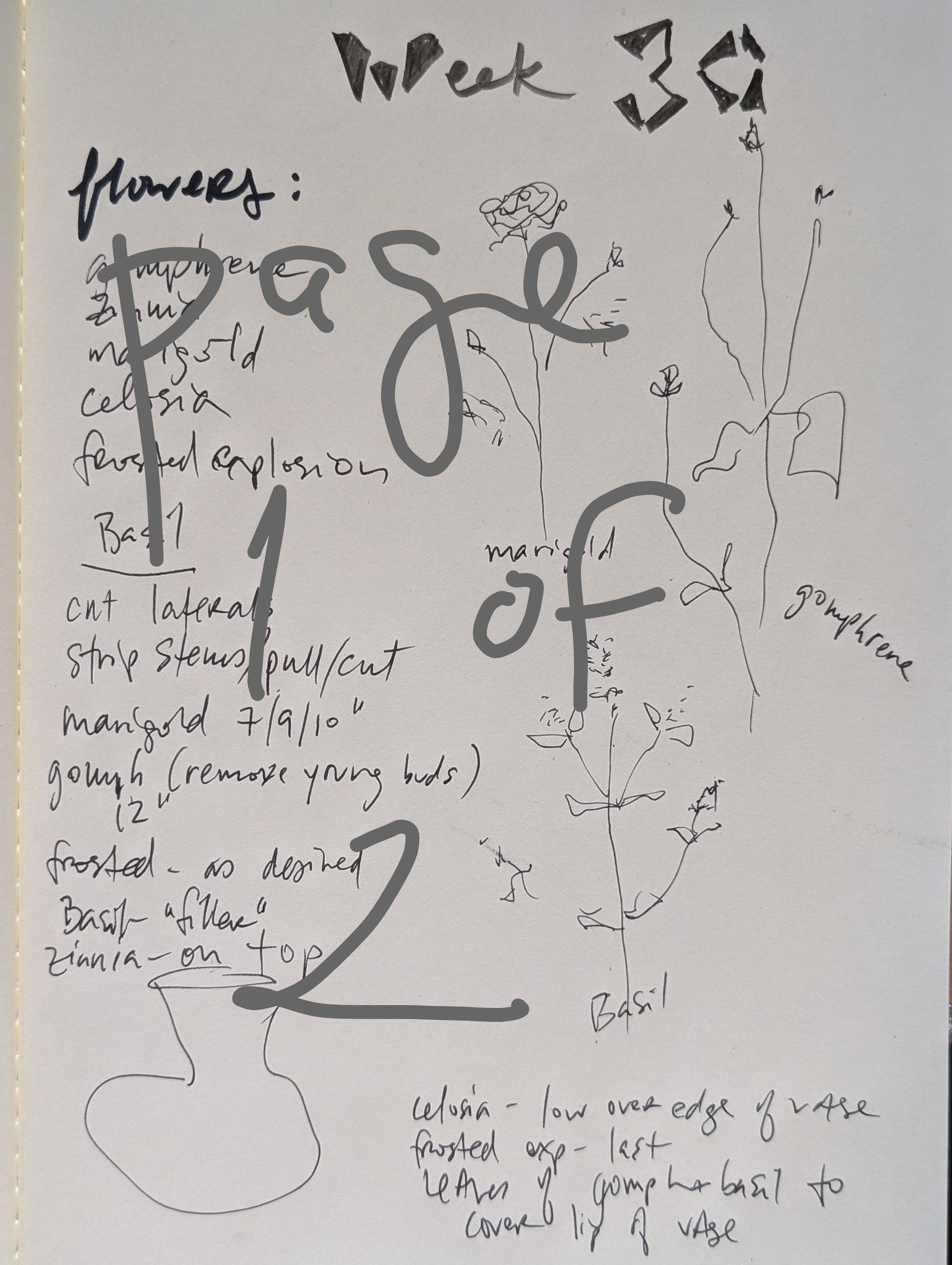 A handwritten notebook page with black ink sketches and notes, including a flower drawing and cursive writing on white paper. Page 1 of 2, an example of what you will receive as instructions
